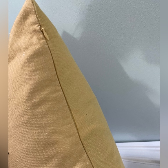 Rae Dunn Spring pillow - Picture 4 of 4